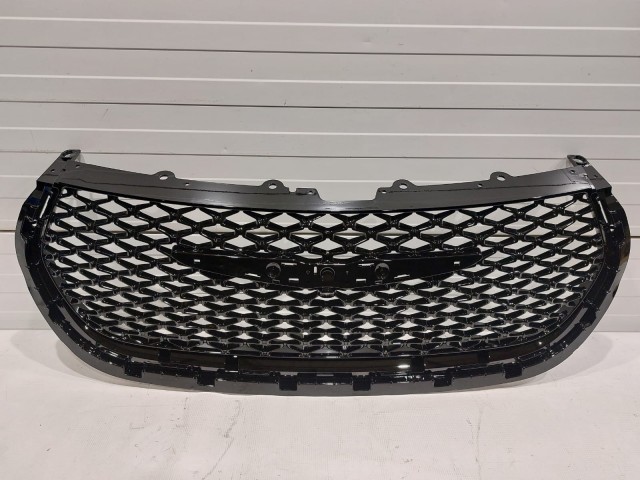 Radiator Grille